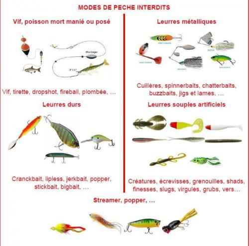 Les modes de pêche autorisés en période de fermeture de la pêche des carnassiers