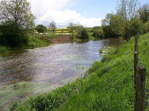 Le Serein en aval de Poilly sur Serein