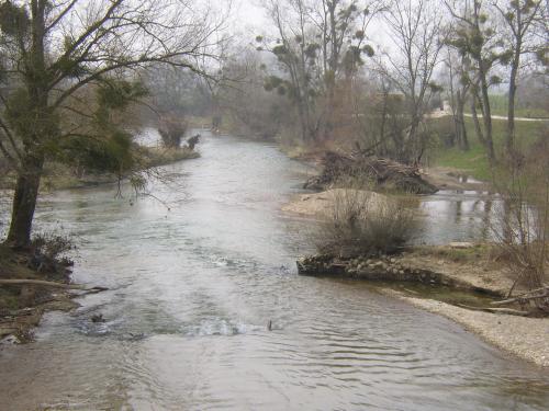 L'Armançon à Germigny