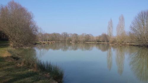 L'Etang des Regains à Charny