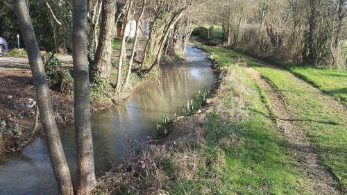 La Vrille à Treigny