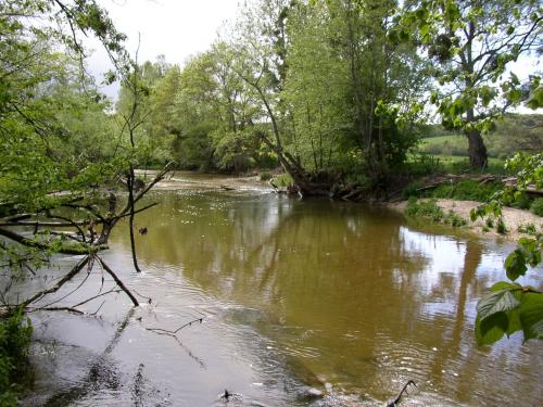 Le Serein à Chemilly sur Serein