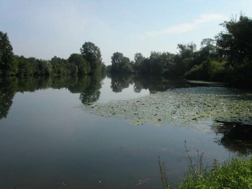 L'Yonne à St Denis Les Sens