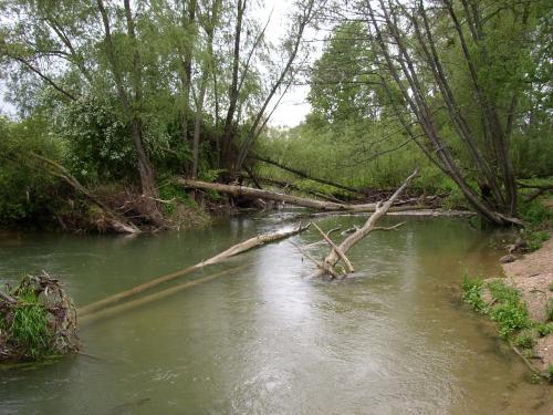 Le Serein à Pontigny