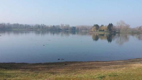 L'Etang des Graviers à Vinneuf