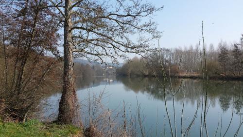 L'Yonne à Villecien