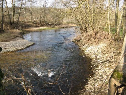 Le Serein à Maligny