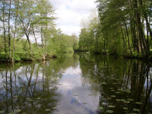 Le Serein à L'Isle sur Serein