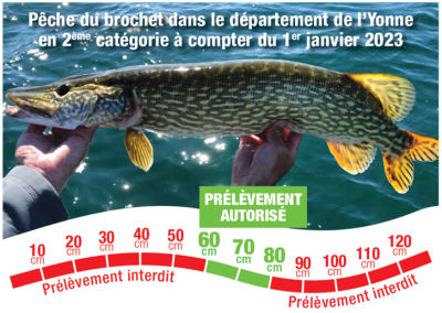 Fenêtre de capture du brochet